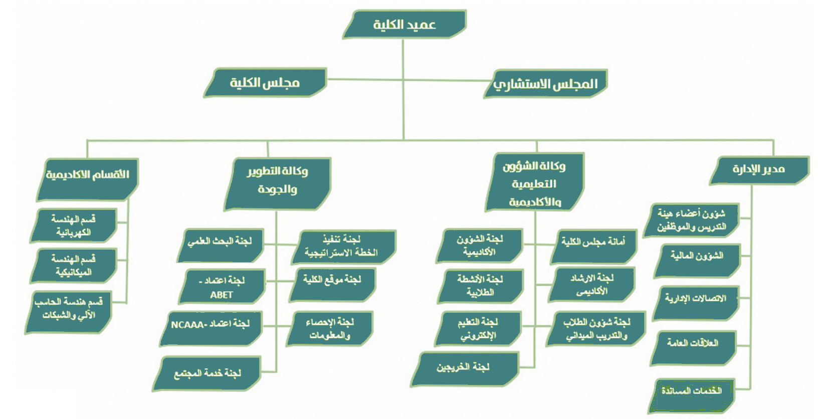 الهيكل الإداري والتنظيمي