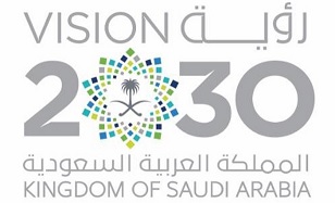 Vision 2030
