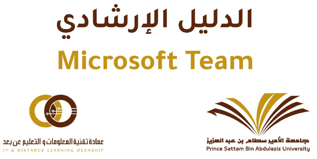 Microsoft Team Guide